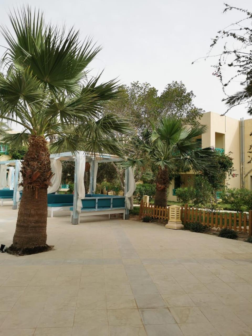 Diar Yassine
